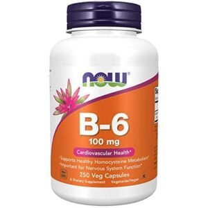 NOW Supplements, Vitamin B-6 (Pyridoxine HCl) 100 mg, Cardiovascular Health, 250 Veg Capsules - Image 1